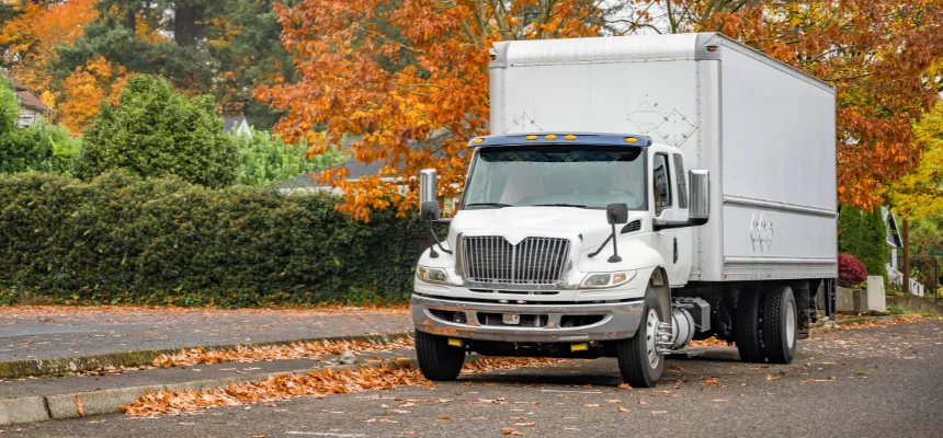 Go Movers LA moving team